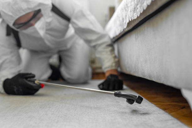 Professional Termite Control technician working in Bloomington, MN