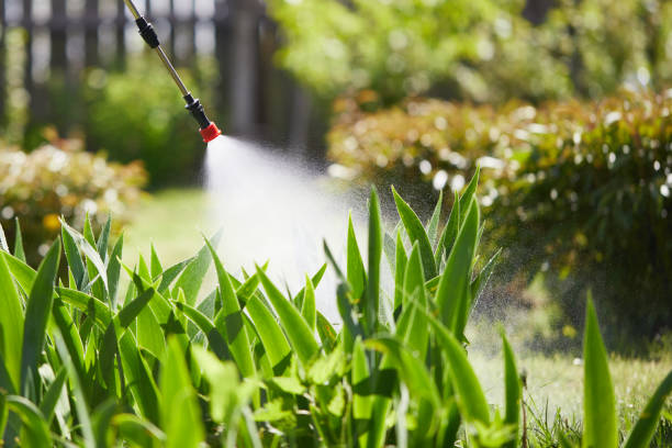 24/7 Emergency Termite Control experts in Bloomington, MN