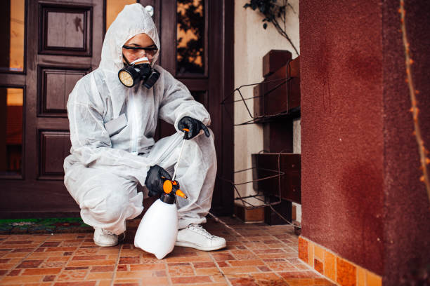 Reliable Termite Control contractor in Bloomington, MN by Nex Pest Control